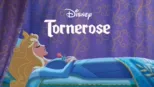 thumbnail - Tornerose