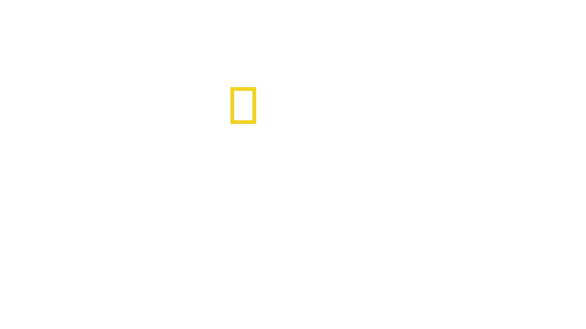 Secretele Balenelor
