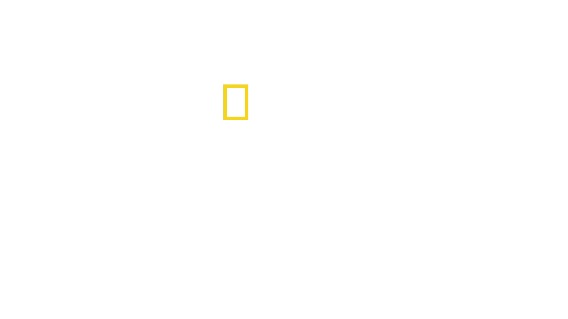 Secretele Balenelor