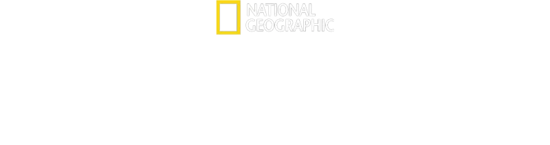 Secretele Balenelor