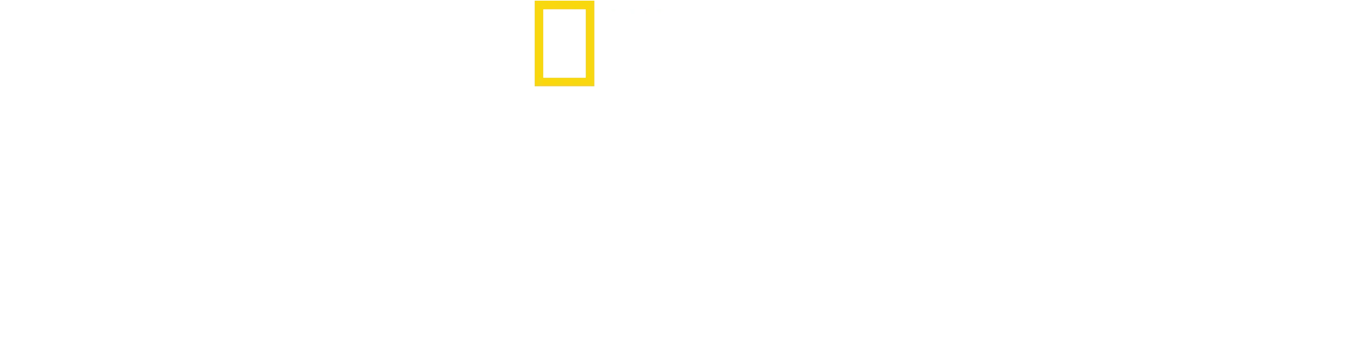 Secretele Balenelor
