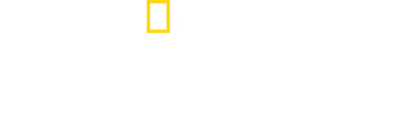光影保育