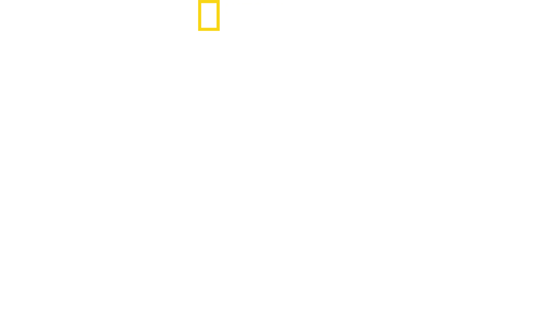 POSITIVE ENERGY