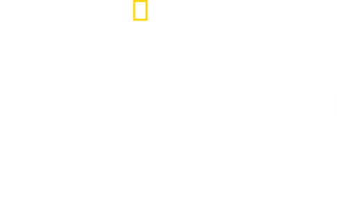 POSITIVE ENERGY