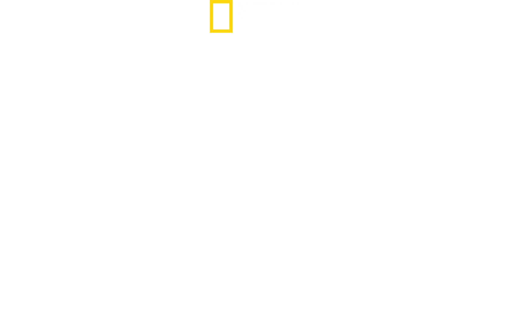 POSITIVE ENERGY