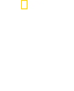 意境印度