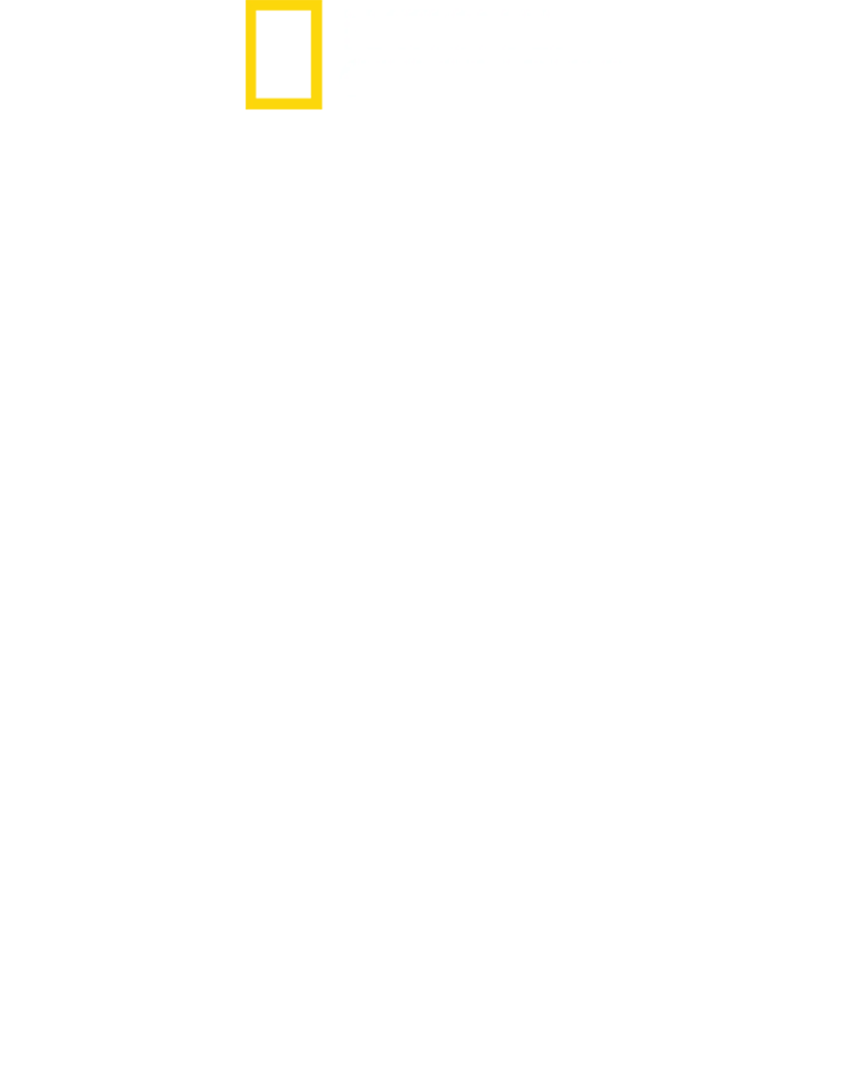 意境印度