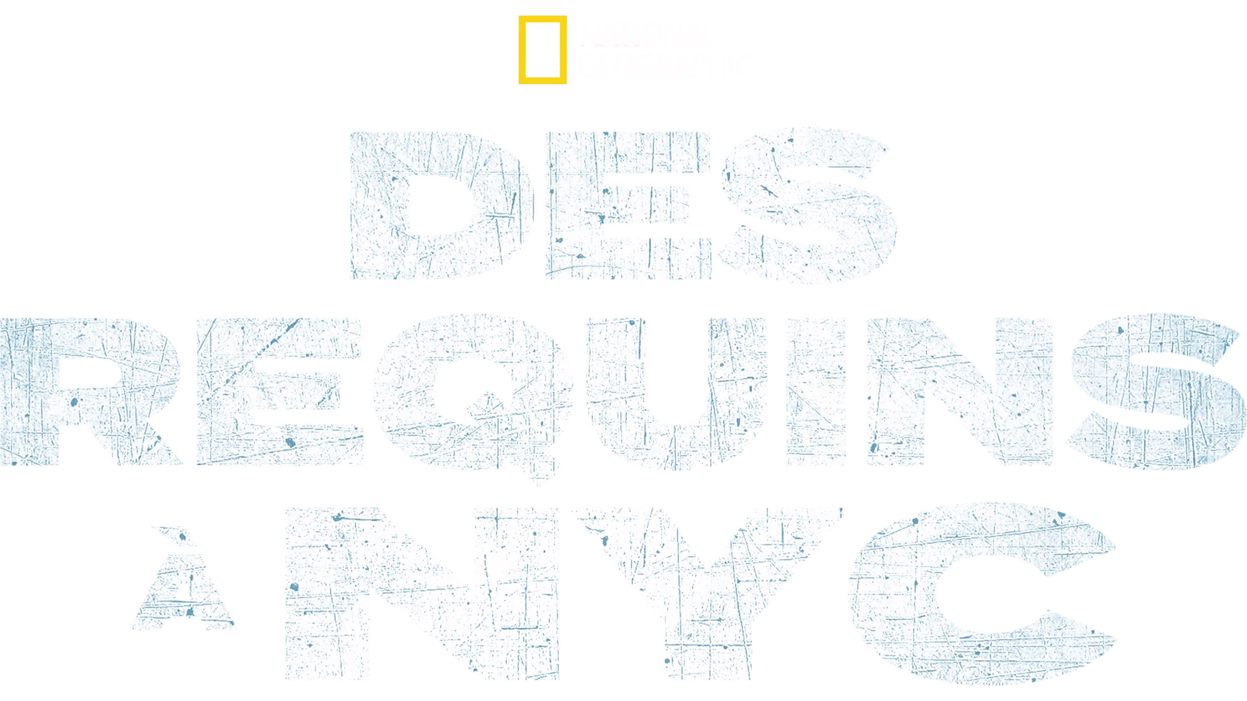 DES BÉBÉS REQUINS EN VILLE