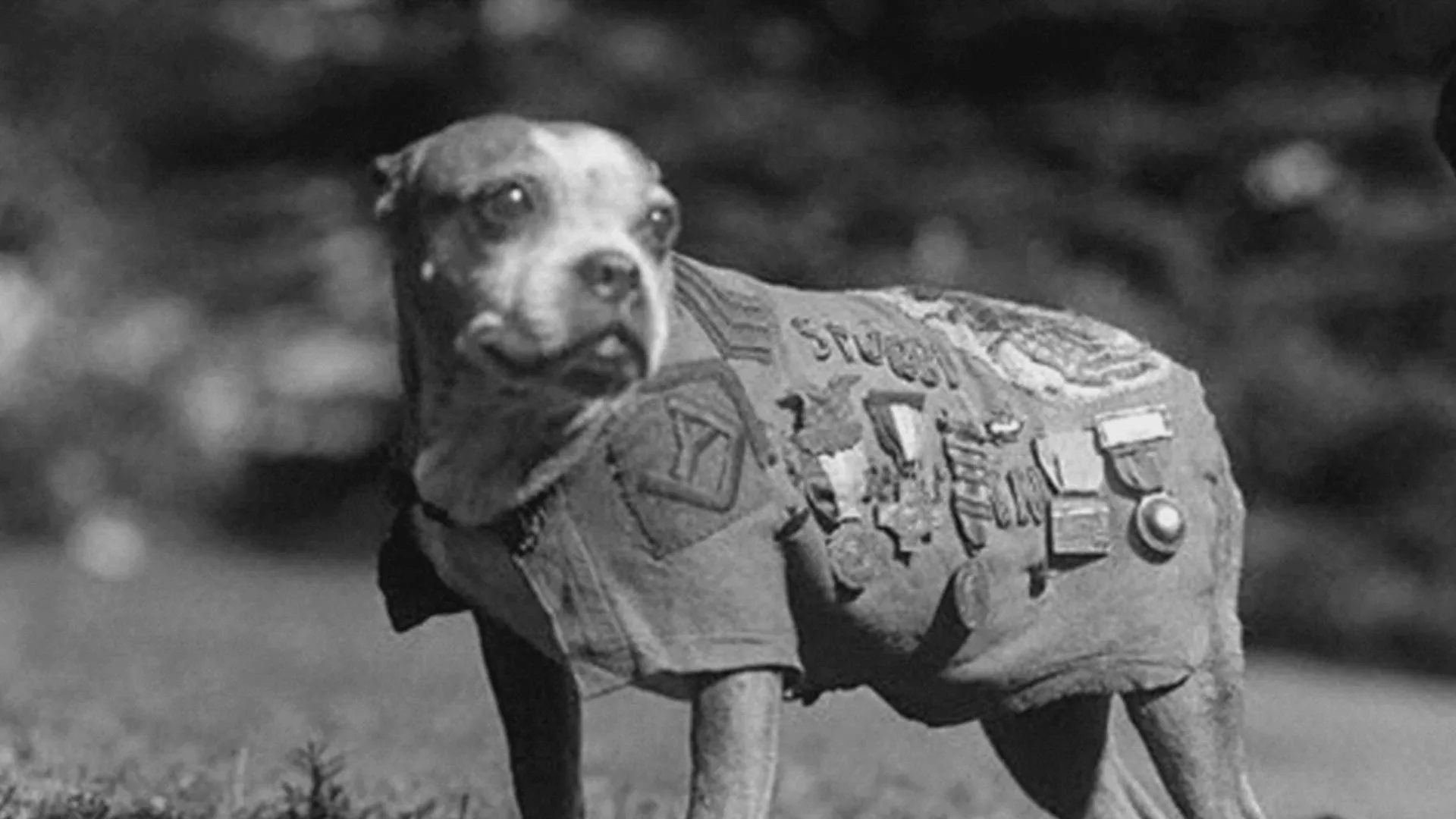 thumbnail - S2:E3 Fantastic Beings