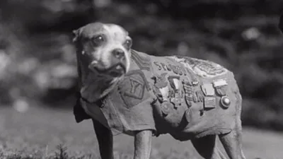 thumbnail - S2:E3 Fantastic Beings