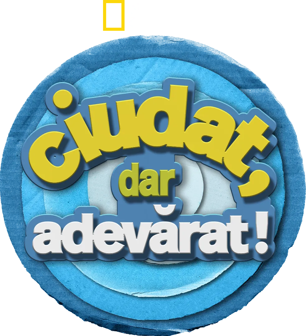 Ciudat, dar adevărat!