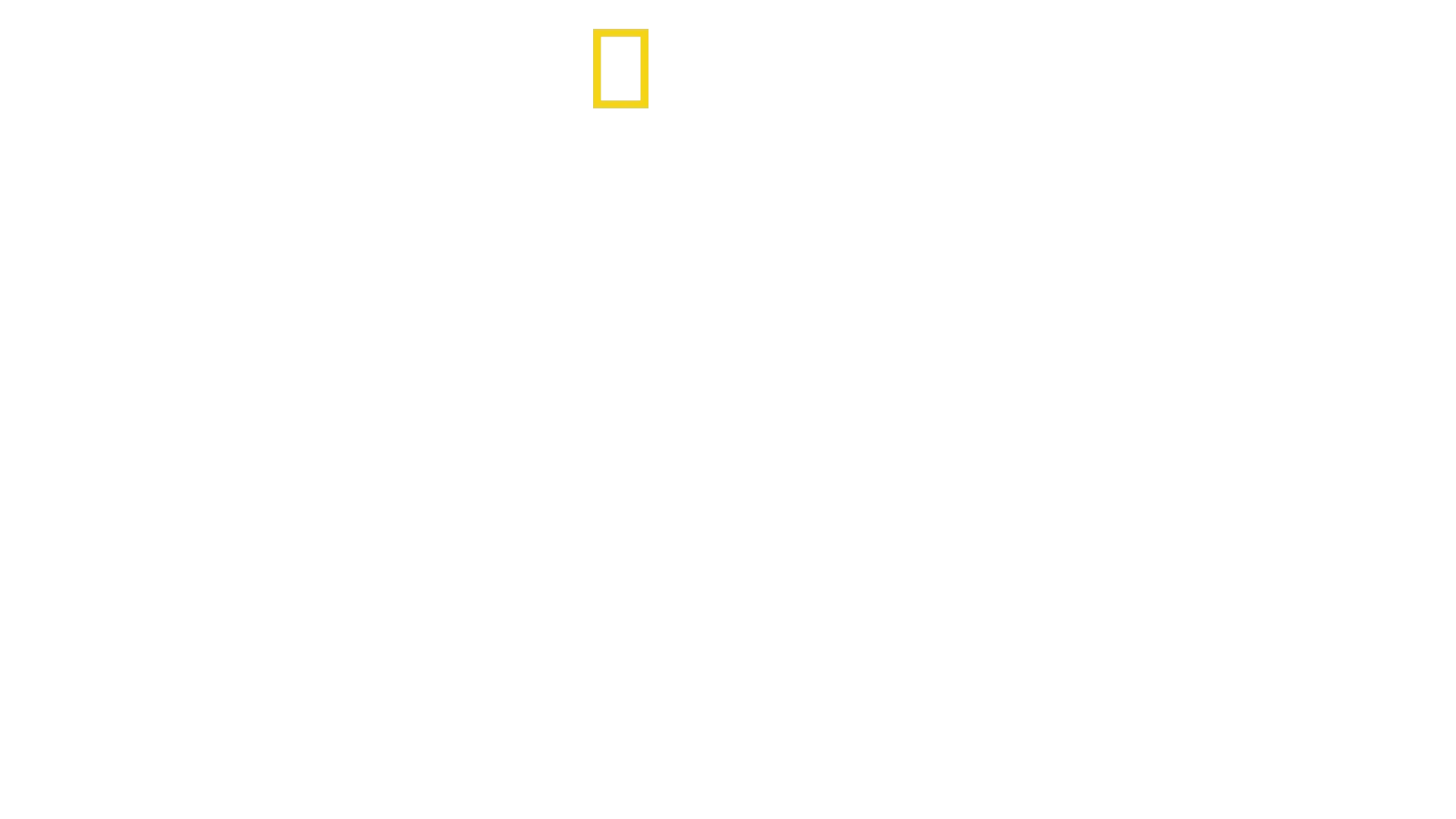 Genghis Khan: The Secret History of the Mongols