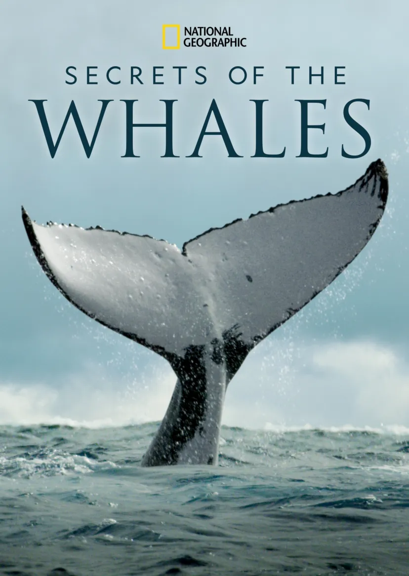 Secrets of the Whales