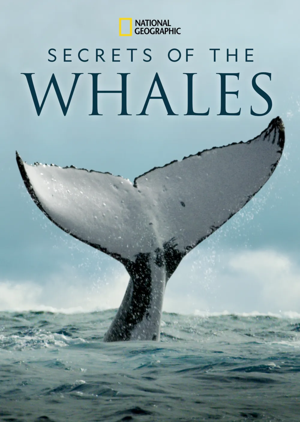Secrets of the Whales