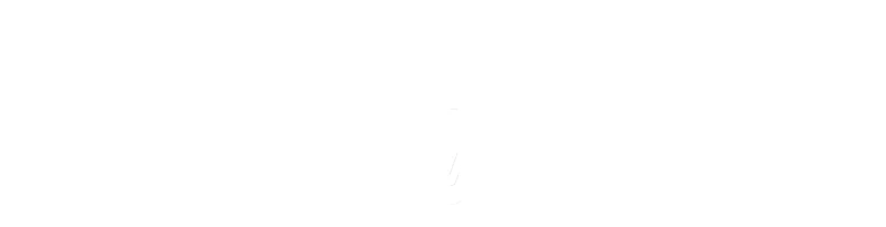 The Transporter