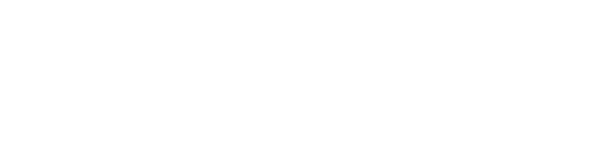 Transporter