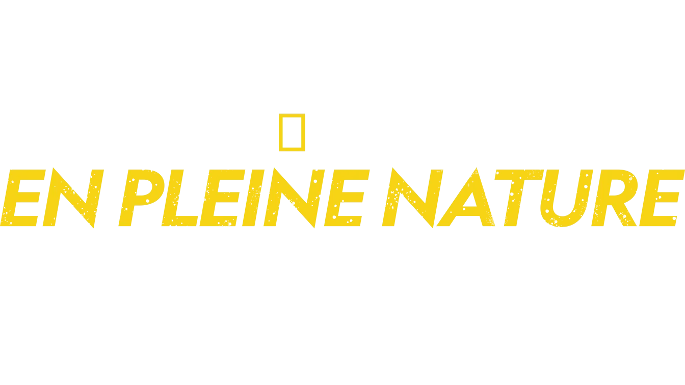 En pleine nature avec Bear Grylls