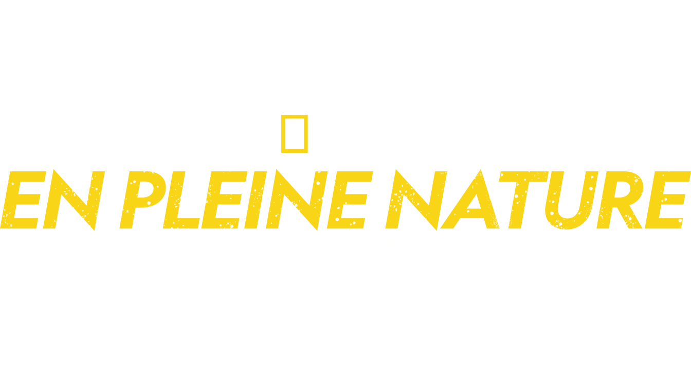 En pleine nature avec Bear Grylls