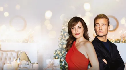 The Enchanted Christmas Cake