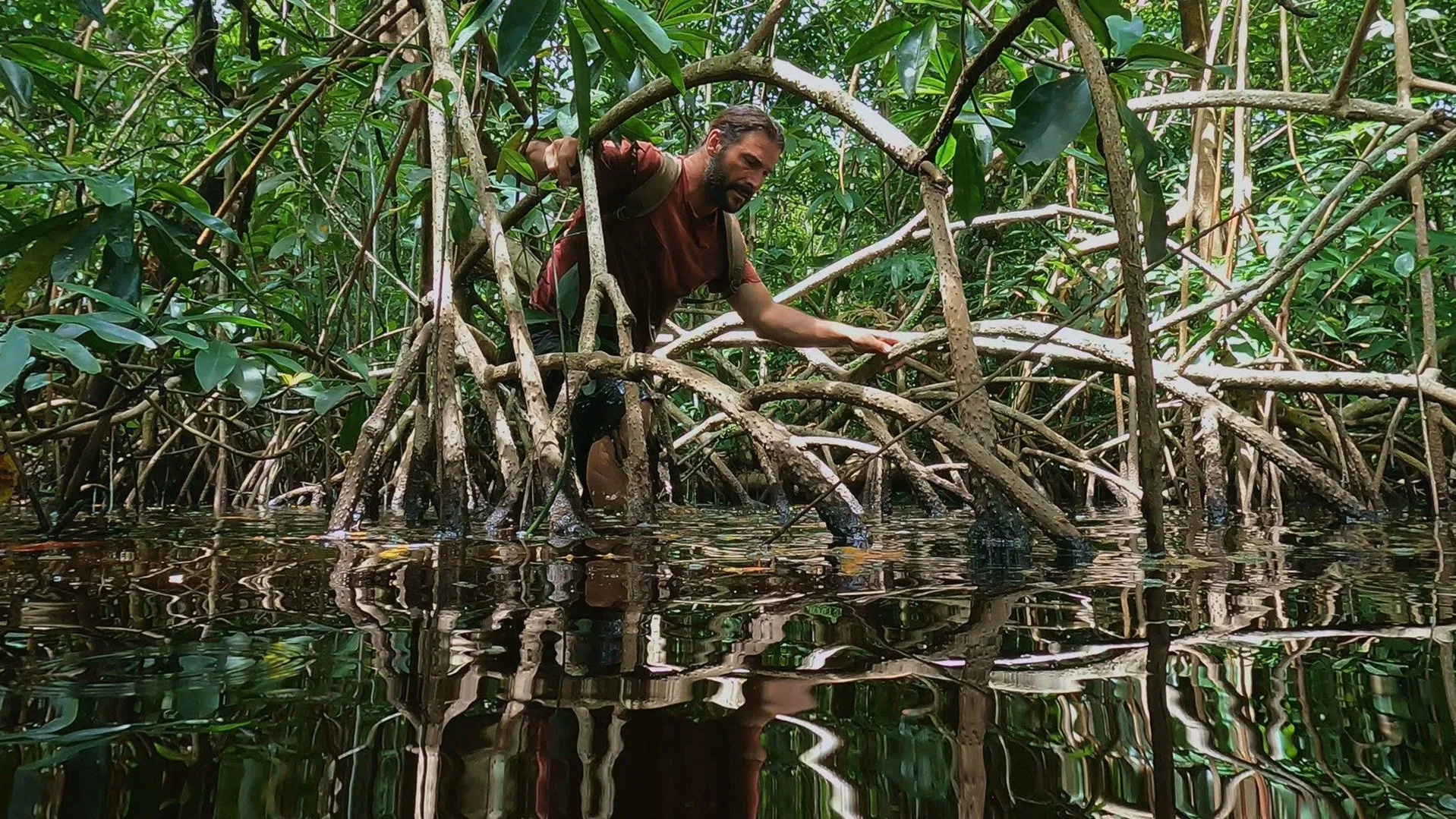 thumbnail - S1:E5 Mangrove Maze