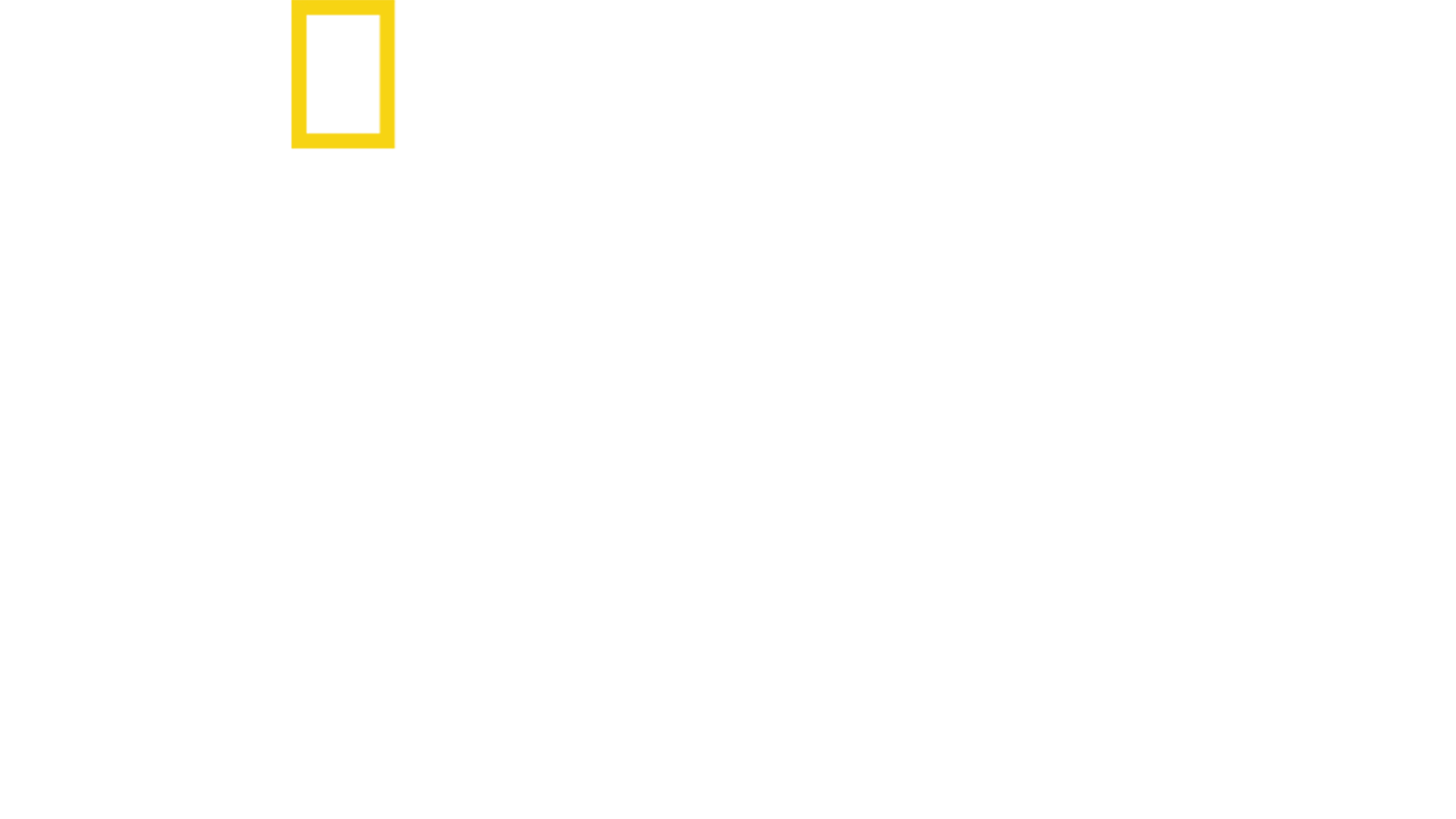 鄉村獸醫拍檔