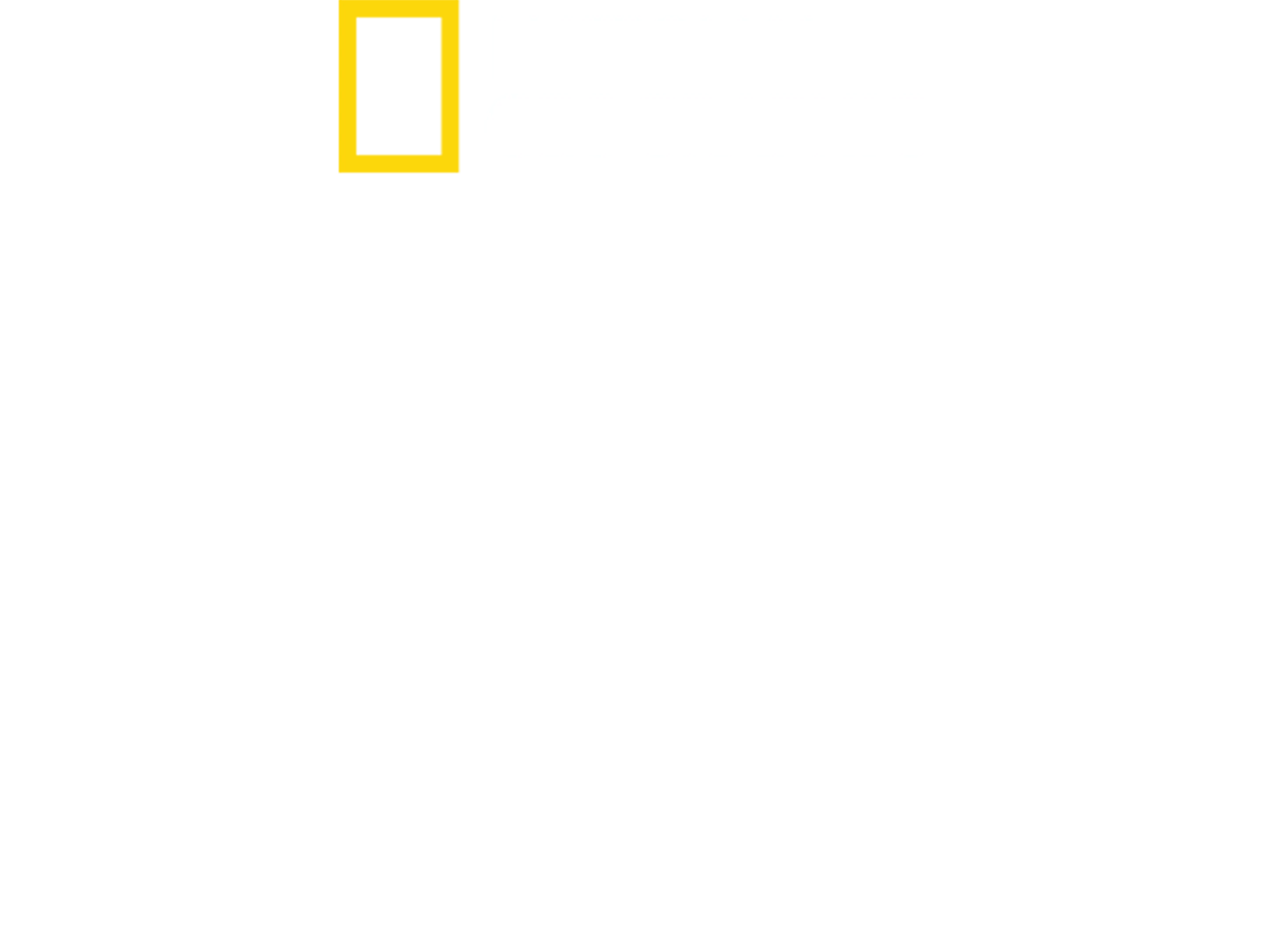 小動物修復者：鄉村獸醫