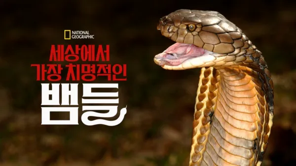 thumbnail - 세상에서 가장 치명적인 뱀들