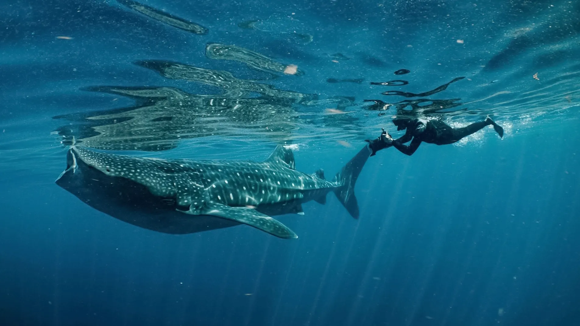 thumbnail - S1:E4 Coral Seas