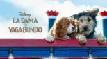 thumbnail - La Dama y El Vagabundo (2019)
