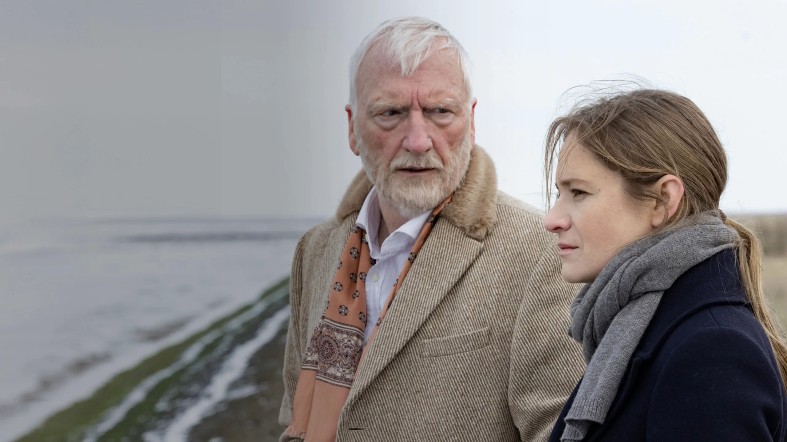 Ostfrieslandkrimis - Ostfriesensühne