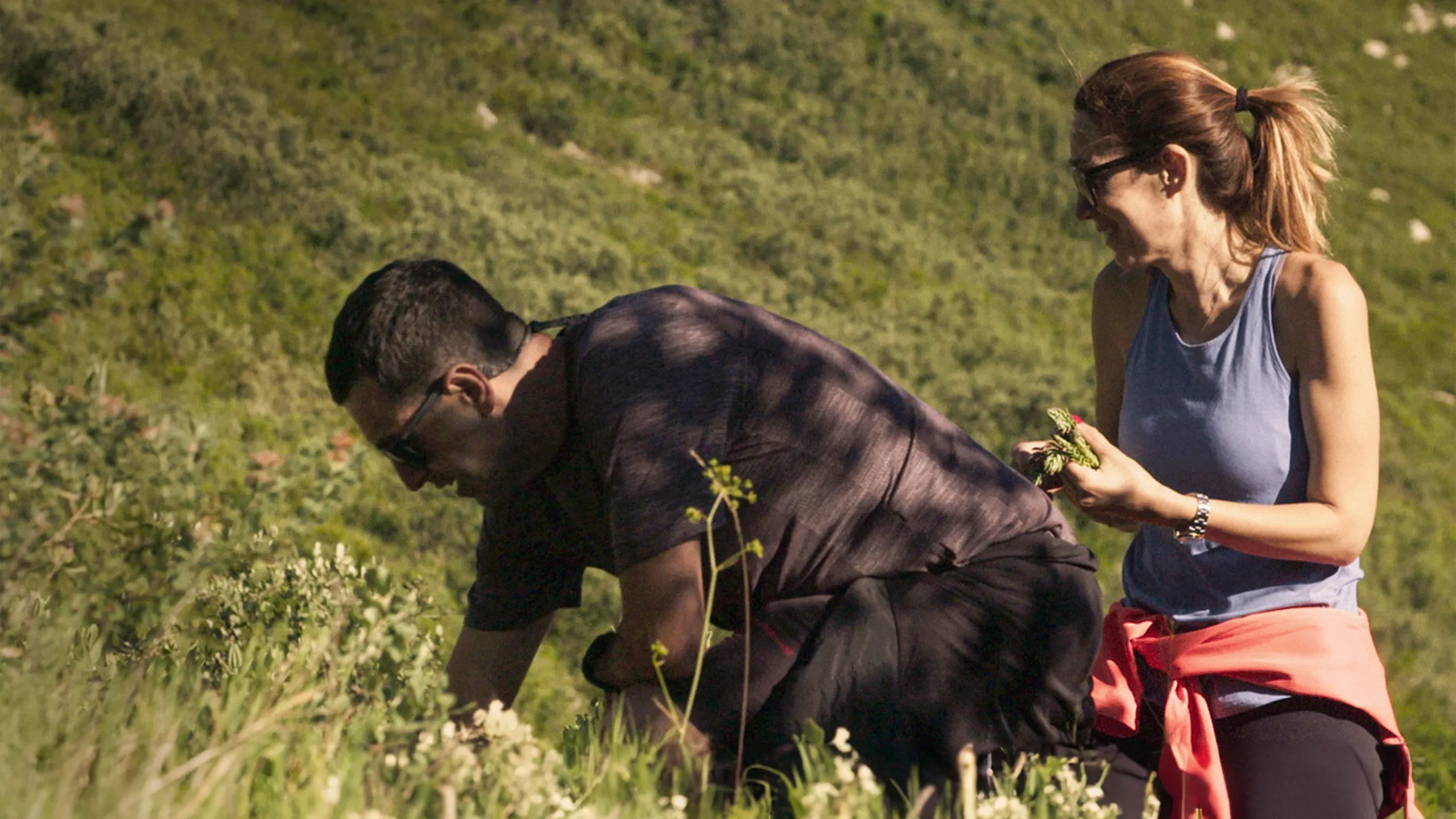 Receta Del Equilibrio, La