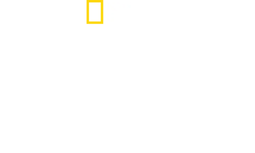 7. Kıta: Antarktika