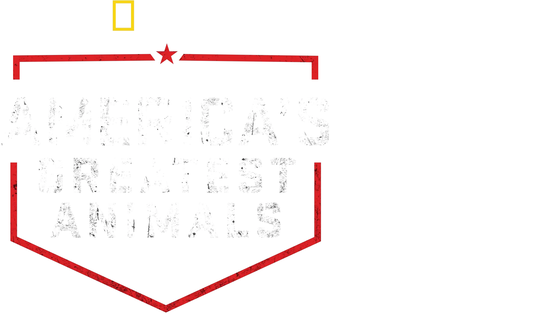 America's Greatest Animals