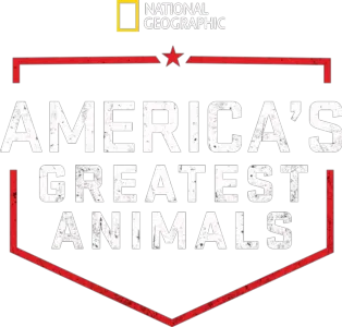 America's Greatest Animals
