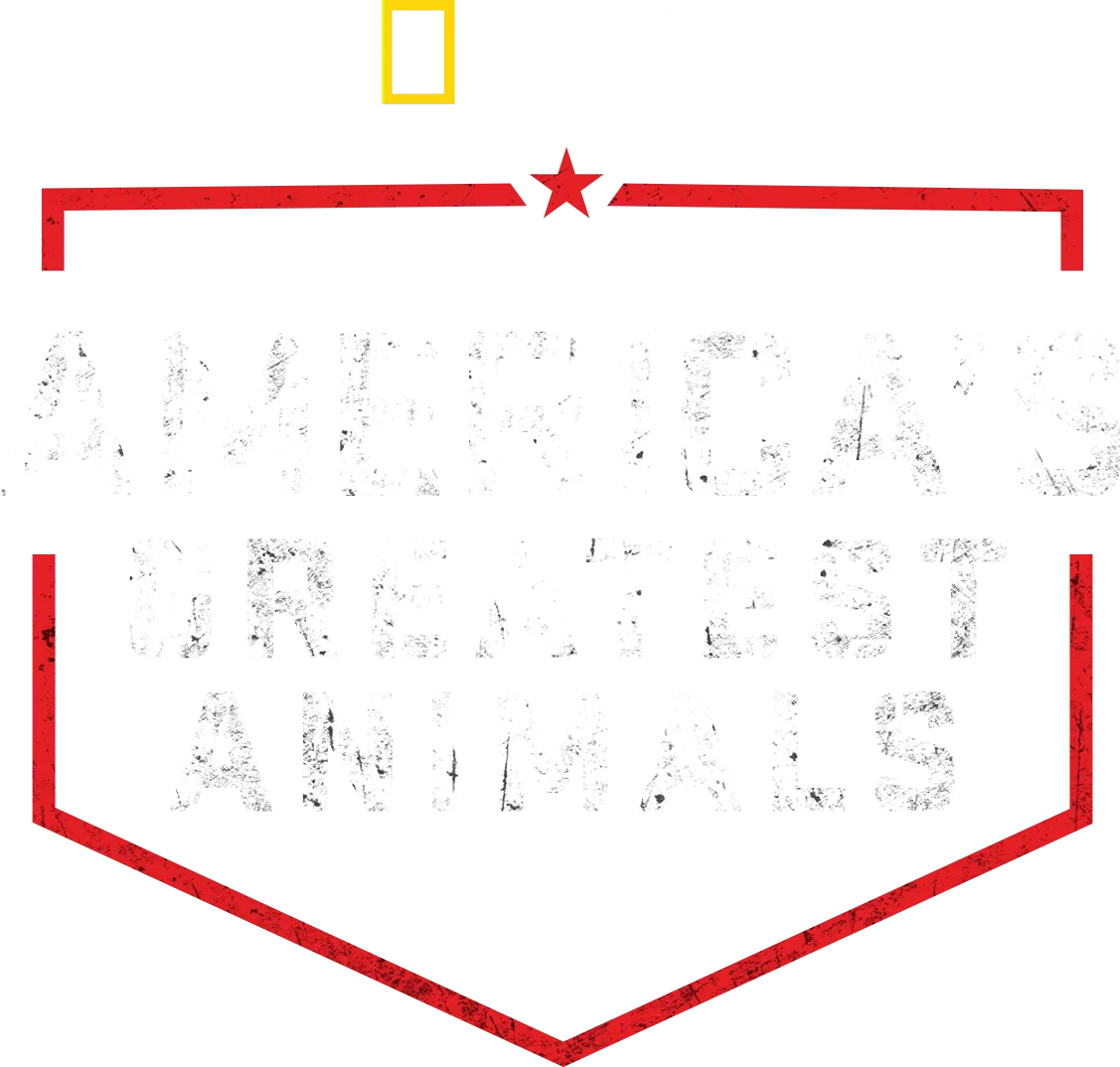 America's Greatest Animals