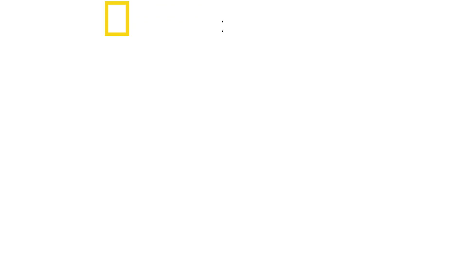 崖っぷちからの挑戦状 with ジミー・チン