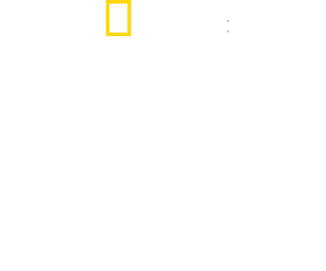 崖っぷちからの挑戦状 with ジミー・チン