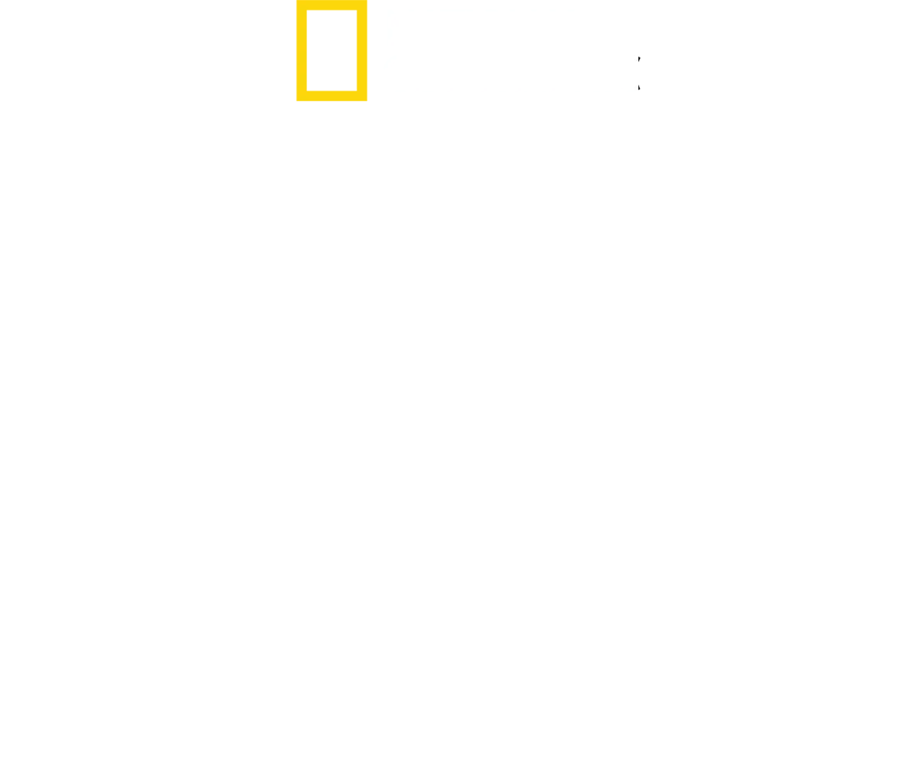 崖っぷちからの挑戦状 with ジミー・チン