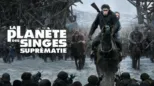 thumbnail - La Planète des Singes - Suprématie