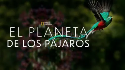 thumbnail - El Planeta de los Pájaros