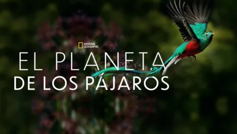 thumbnail - El Planeta de los Pájaros