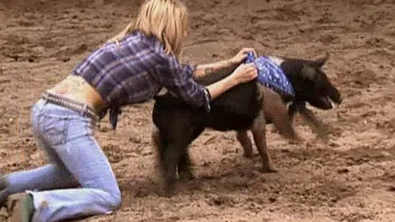 thumbnail - S2:E6 Once a Cow Girl