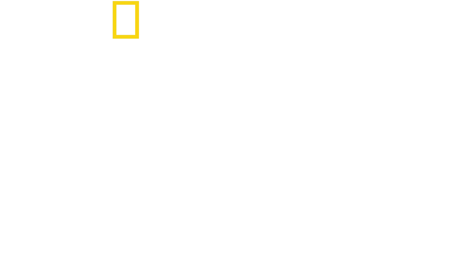 버티 그레고리의 돌고래 클로즈 업
