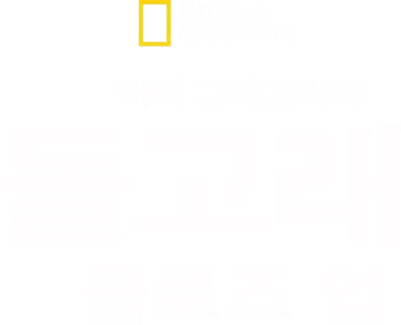 버티 그레고리의 돌고래 클로즈 업
