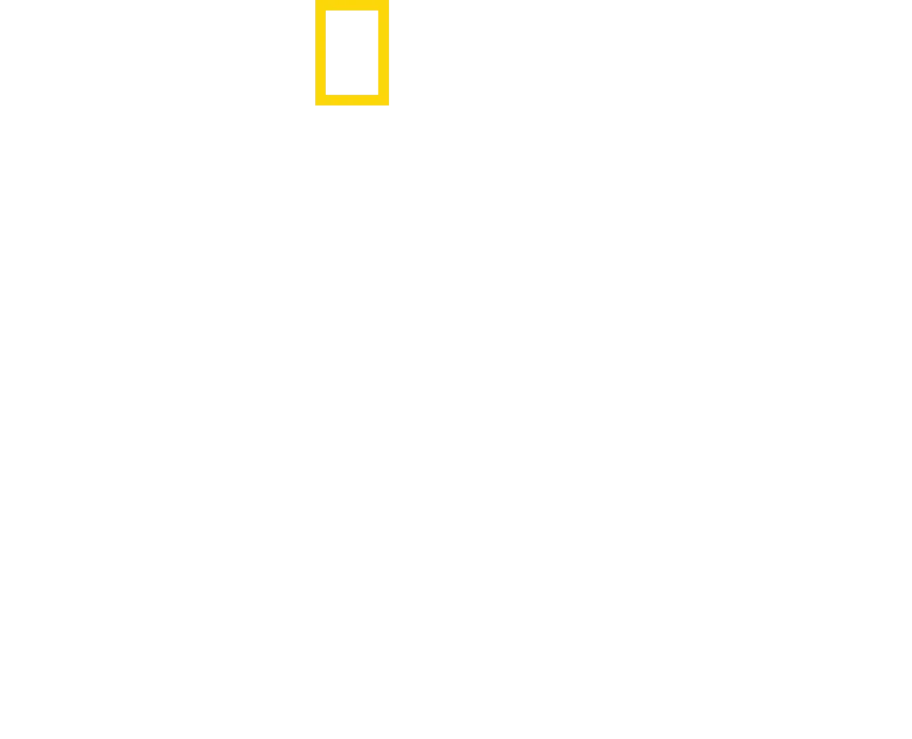 버티 그레고리의 돌고래 클로즈 업
