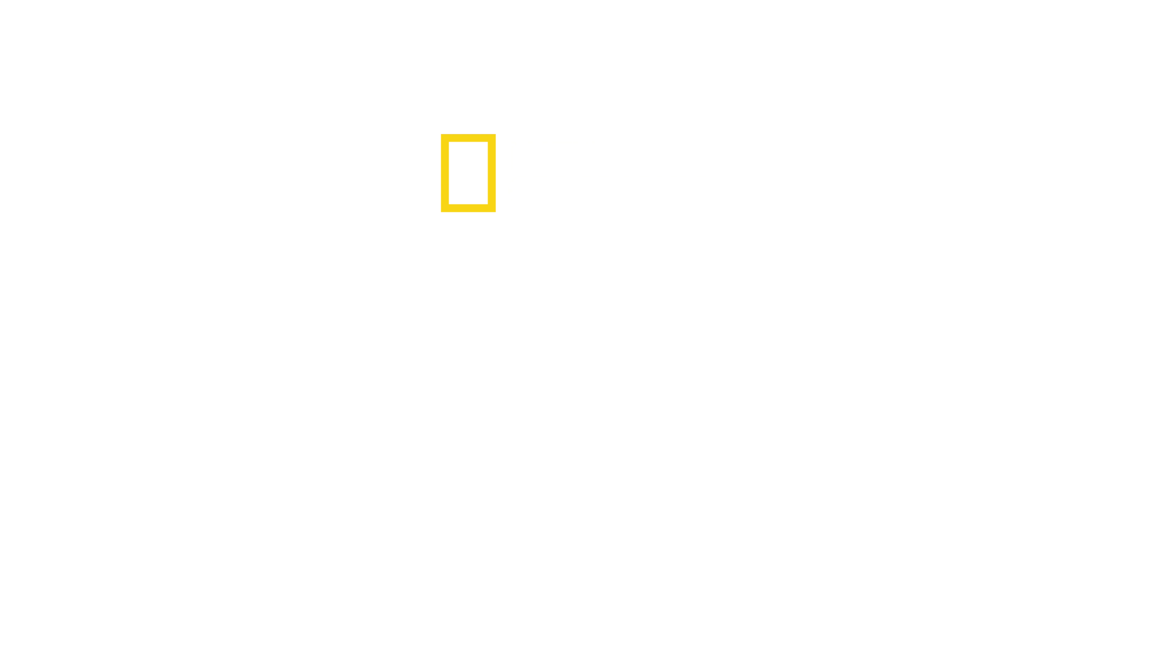 Najgroźniejsze zwierzęta Afryki