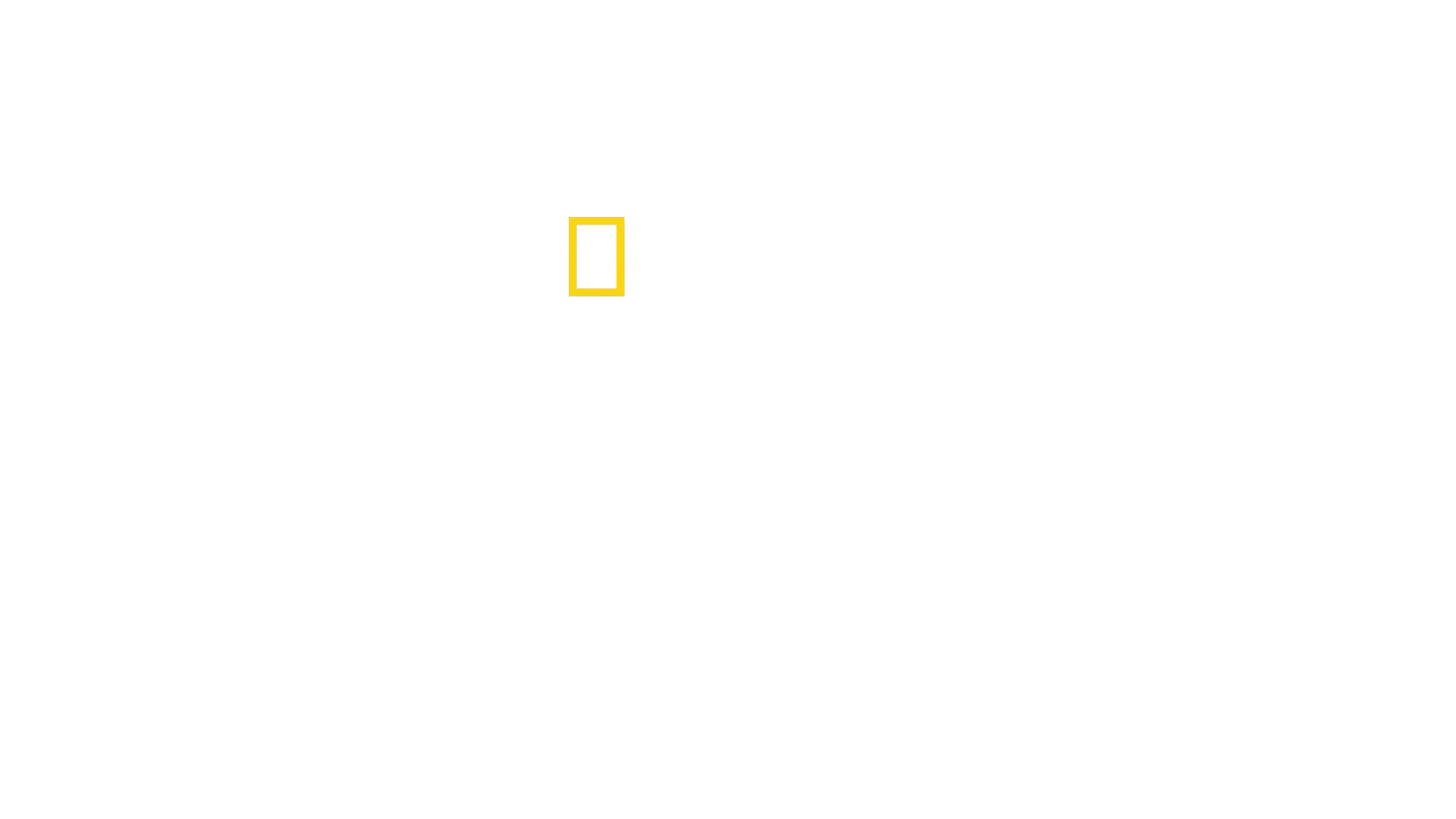 Secretos veterinarios