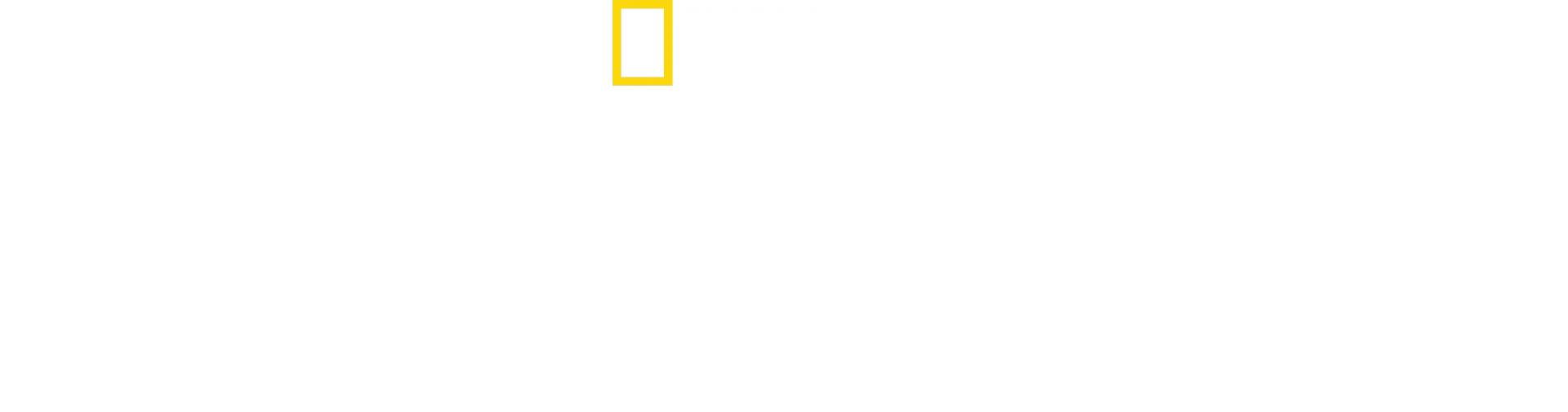 Secretos veterinarios