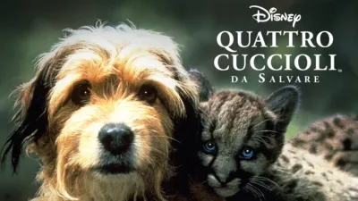 Quattro Cuccioli Da Salvare