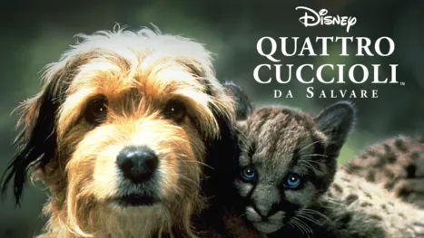 thumbnail - Quattro Cuccioli Da Salvare